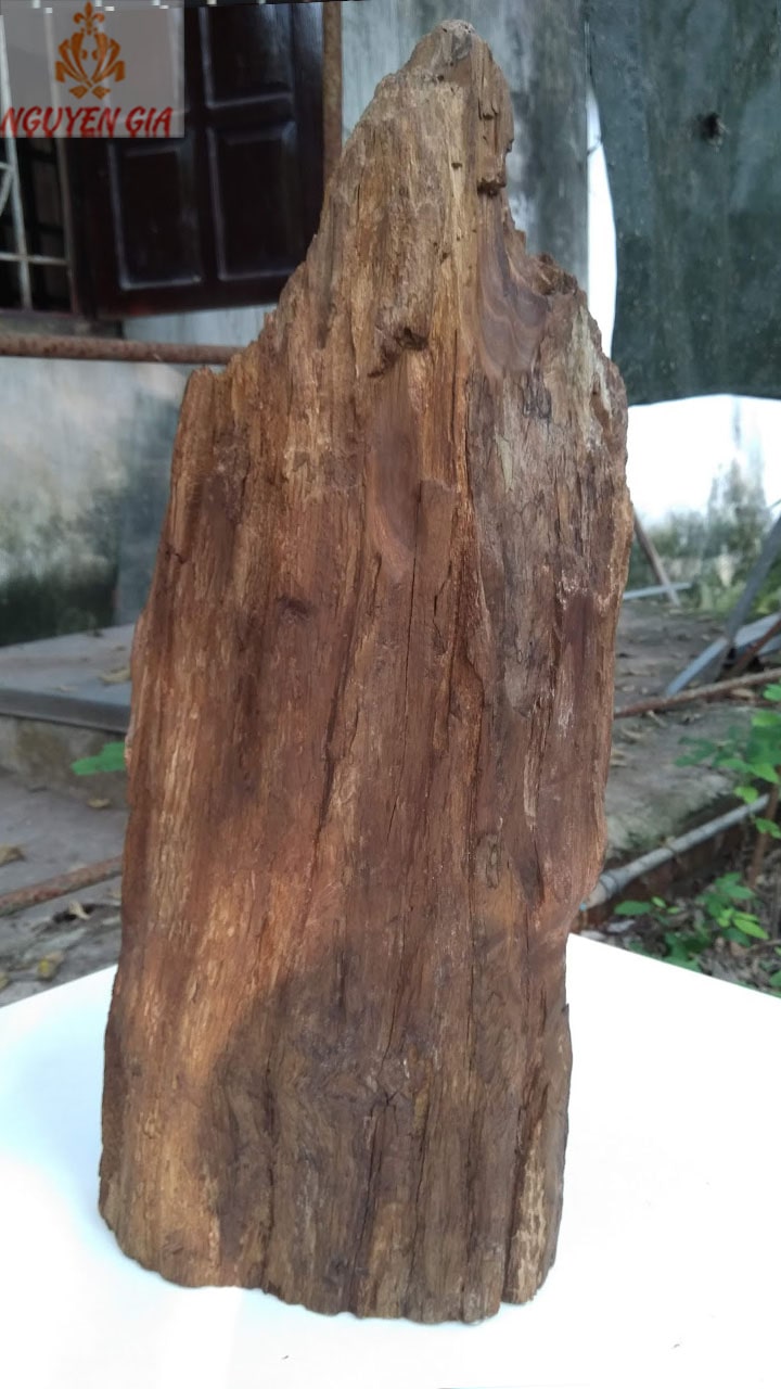 Tượng quan thế âm bồ tát gỗ lũa bách xanh MS01