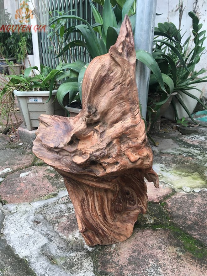 Gỗ lũa Ngọc Am tự nhiên KT44x22 cm
