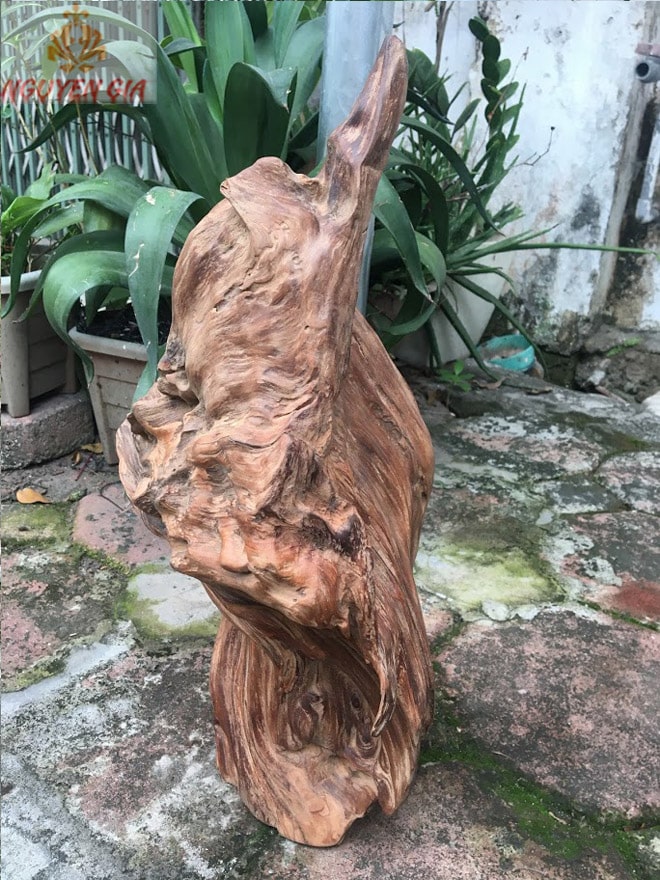 Gỗ lũa Ngọc Am tự nhiên KT44x22 cm