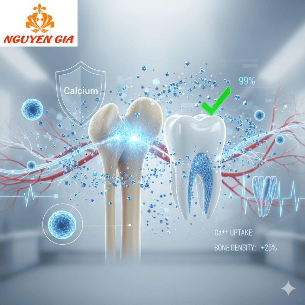 Những thực phẩm giàu canxi hơn cả sữa – Giải pháp tự nhiên cho xương chắc khỏe