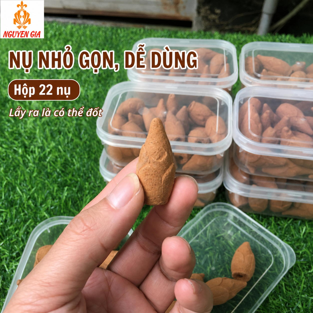 Nụ Trầm Bách Xanh 22 Nụ – Thơm Dịu, Dễ Đốt, Hợp Xông Nhà