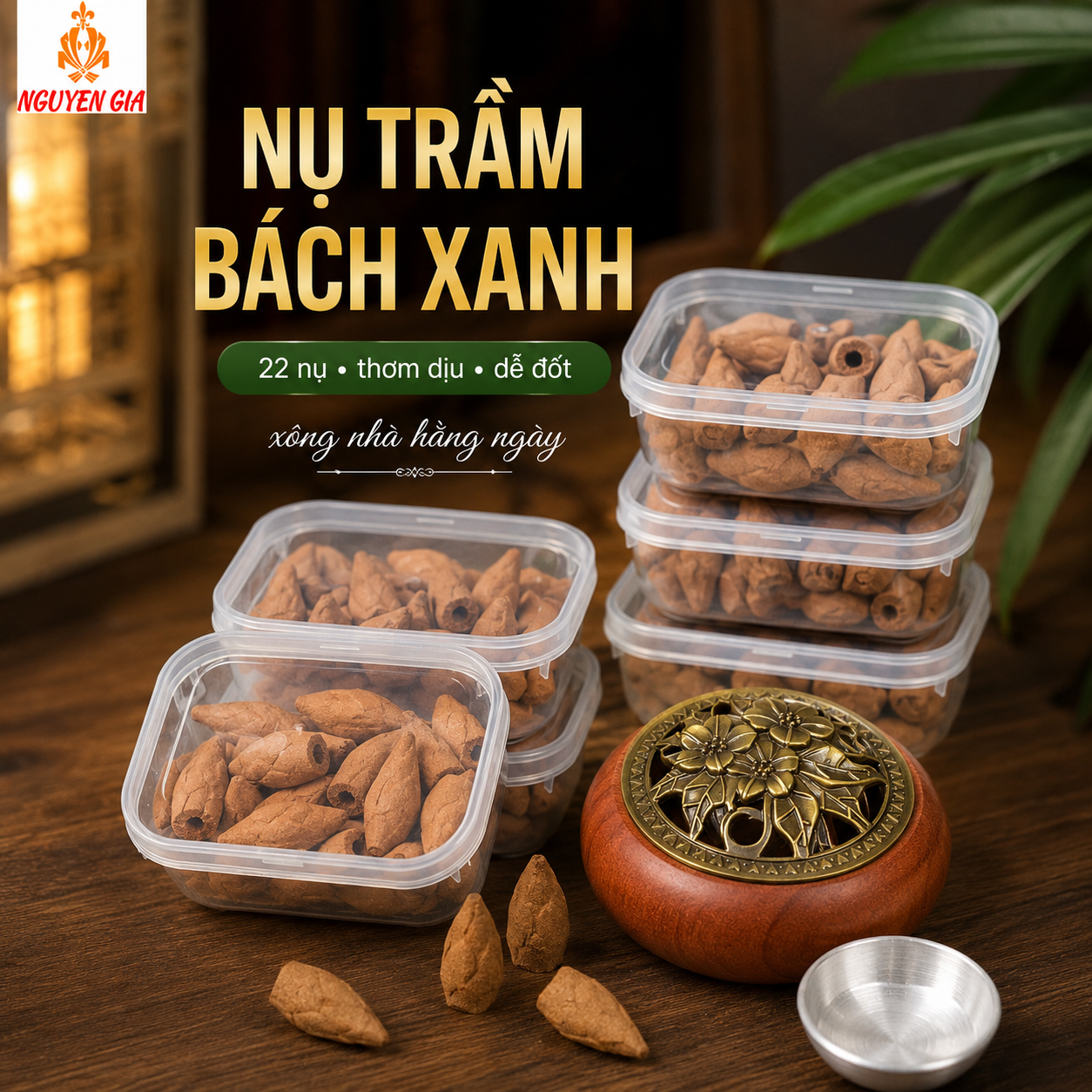 Nụ Trầm Bách Xanh 22 Nụ – Thơm Dịu, Dễ Đốt, Hợp Xông Nhà