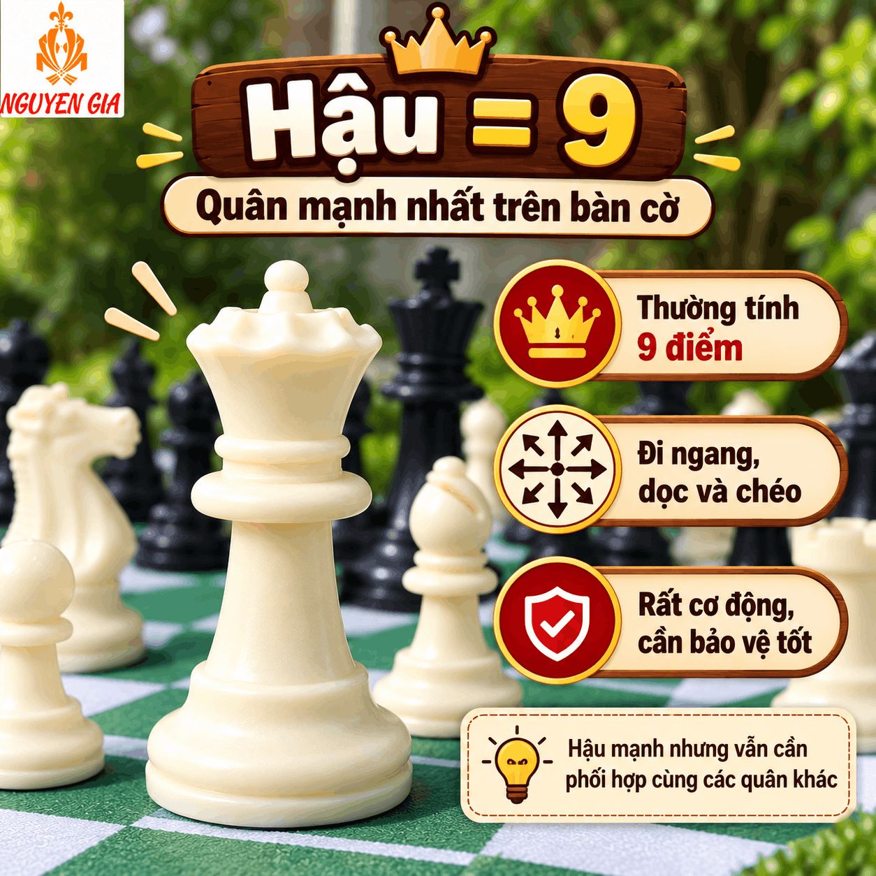 Gi&aacute; Trị C&aacute;c Qu&acirc;n Cờ Vua: Hậu, Xe, Tượng, M&atilde; V&agrave; Tốt Bao Nhi&ecirc;u Điểm?