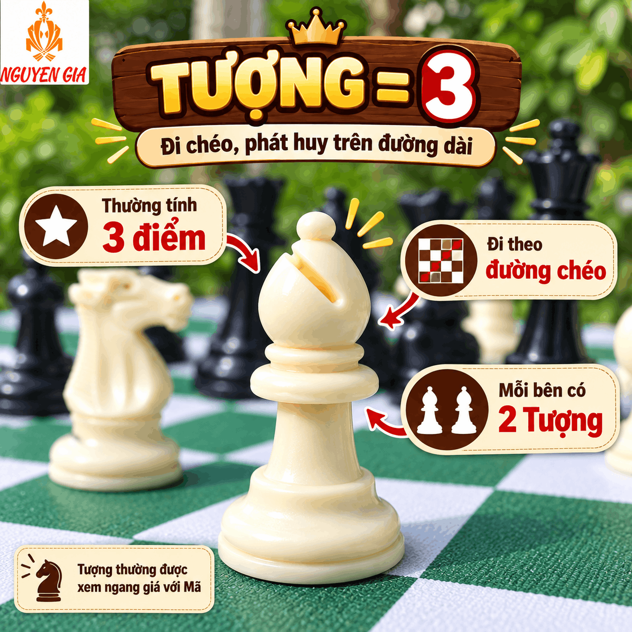 Gi&aacute; Trị C&aacute;c Qu&acirc;n Cờ Vua: Hậu, Xe, Tượng, M&atilde; V&agrave; Tốt Bao Nhi&ecirc;u Điểm?