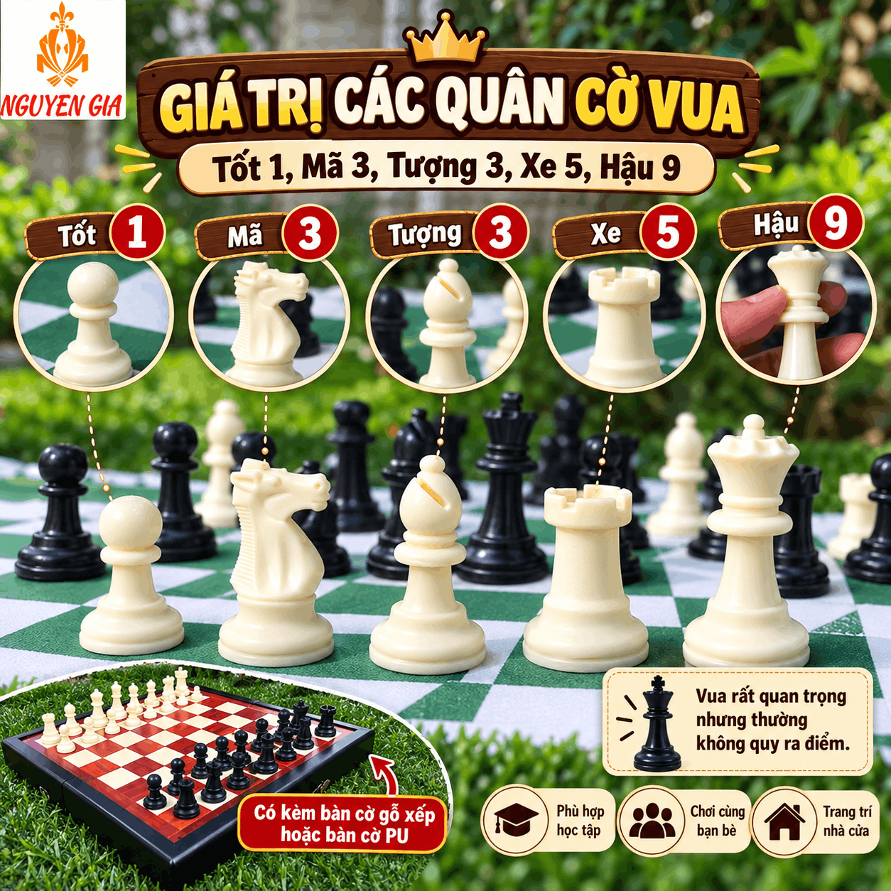 Gi&aacute; Trị C&aacute;c Qu&acirc;n Cờ Vua: Hậu, Xe, Tượng, M&atilde; V&agrave; Tốt Bao Nhi&ecirc;u Điểm?