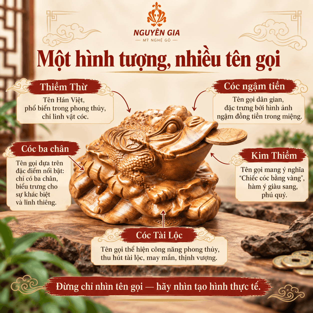 Thiềm Thừ L&agrave; G&igrave;? C&oacute;c Ngậm Tiền, C&oacute;c Ba Ch&acirc;n C&oacute; &Yacute; Nghĩa G&igrave;?