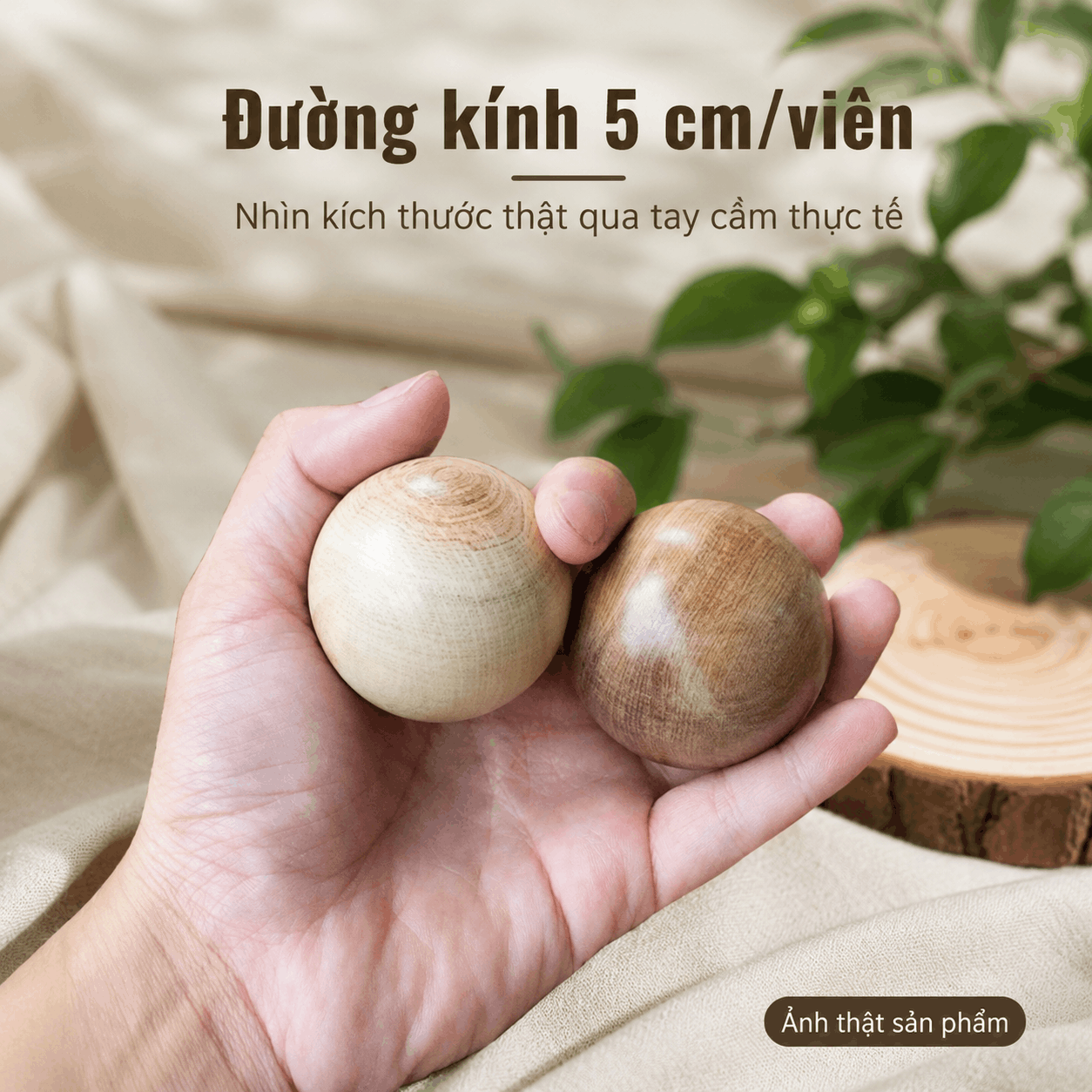 Combo 2 Bi Lăn Tay Gỗ Bách Xanh Đường Kính 5 cm