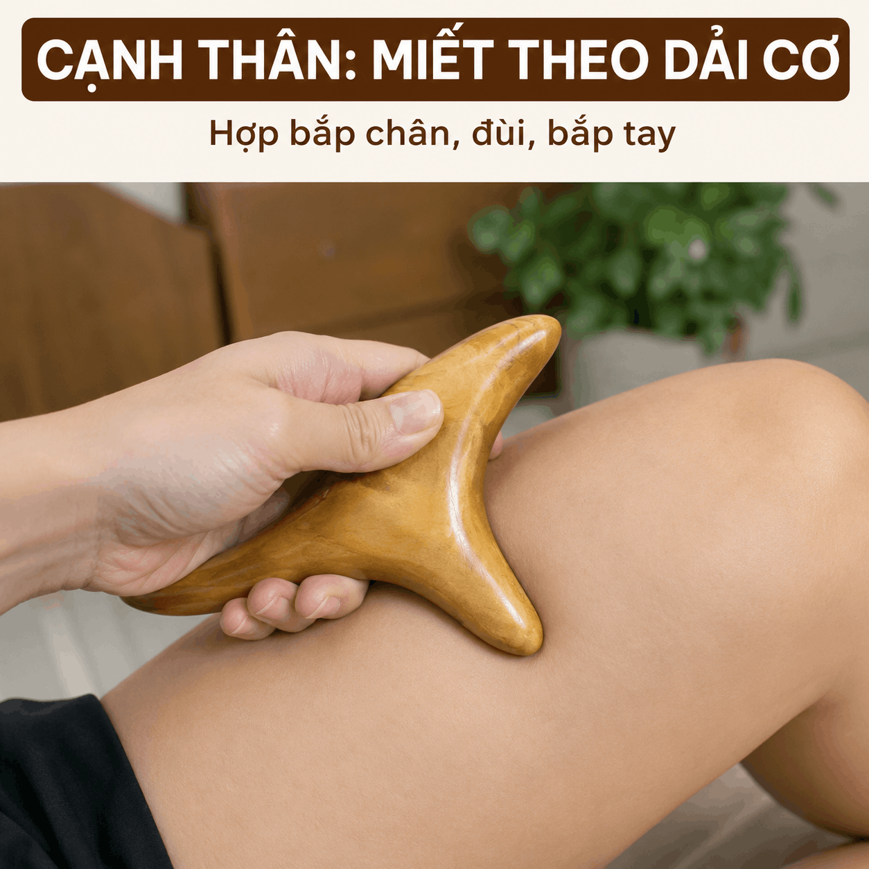 Dụng Cụ Massage Gỗ Bách Xanh Hình Chim Én – Day Ấn, Miết Vuốt