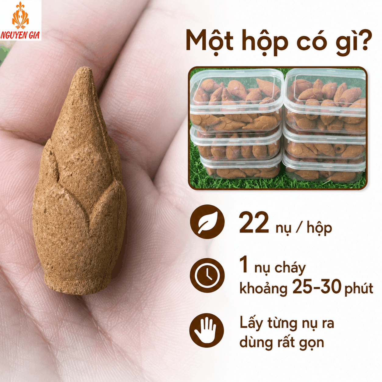 Nụ Bách Xanh 22 Nụ – Tiện Dùng, Không Cần Tự Đong Bột