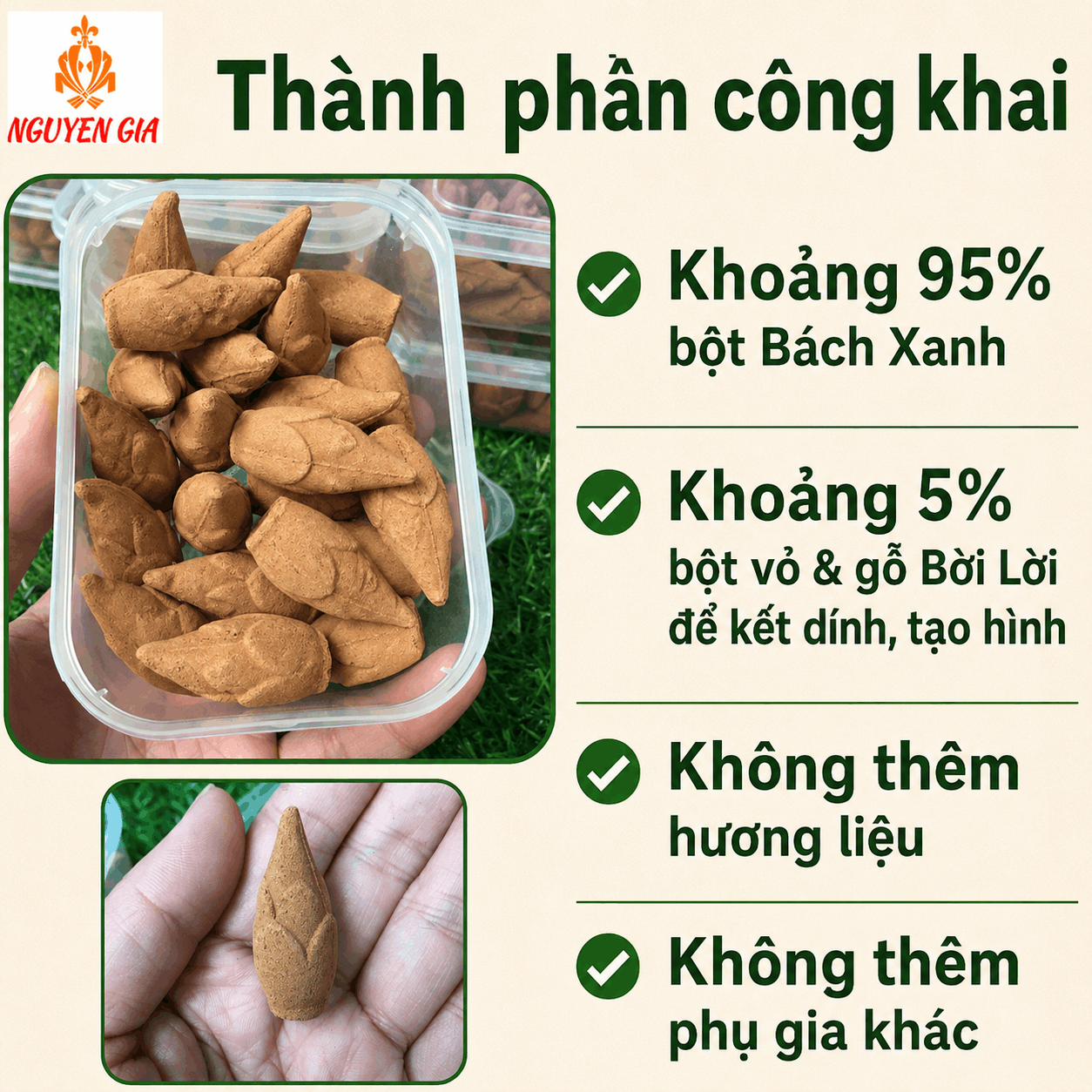 Nụ Bách Xanh 22 Nụ – Tiện Dùng, Không Cần Tự Đong Bột