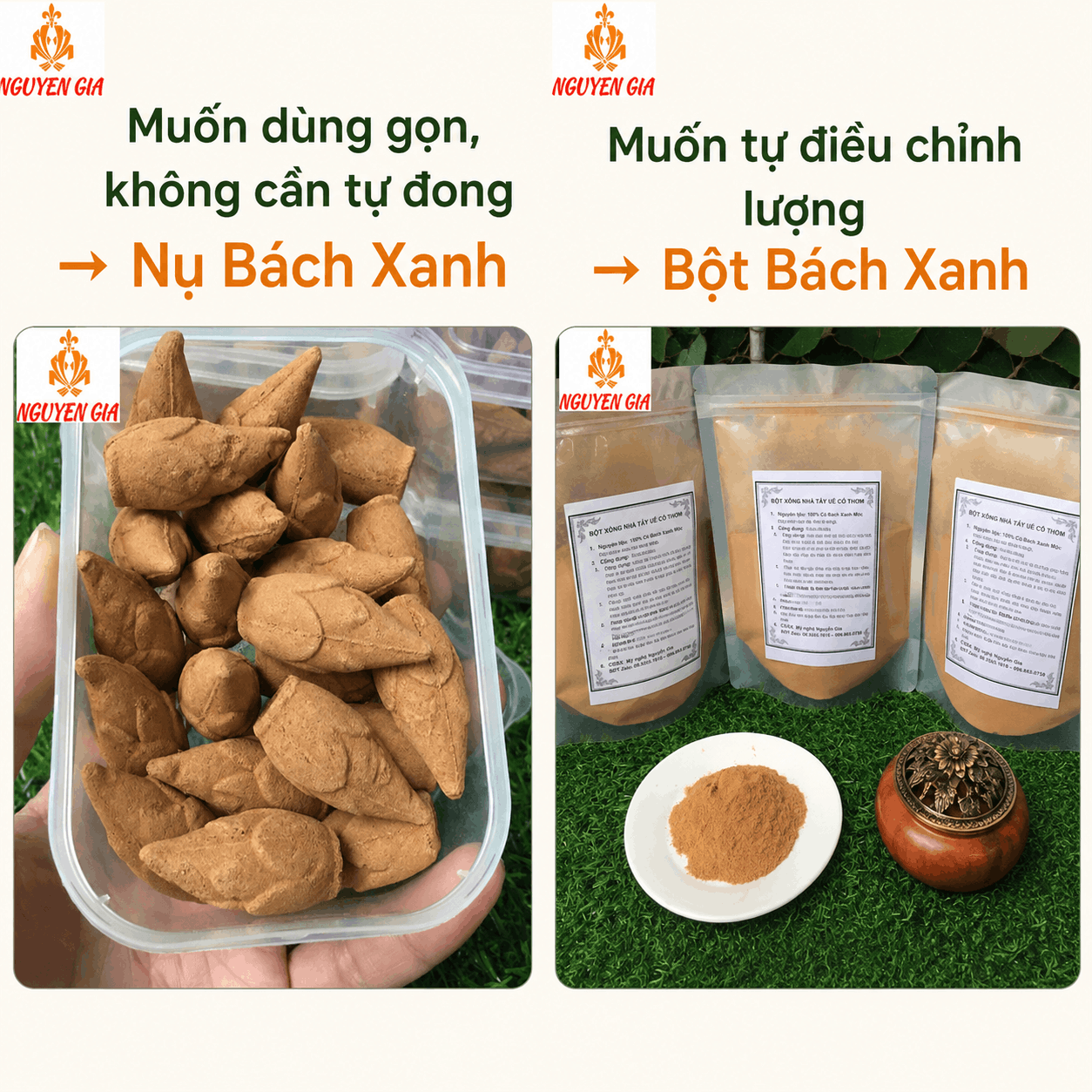 Nụ Bách Xanh 22 Nụ – Tiện Dùng, Không Cần Tự Đong Bột