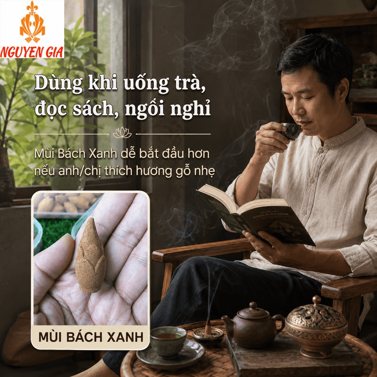 Nụ Bách Xanh 22 Nụ – Tiện Dùng, Không Cần Tự Đong Bột
