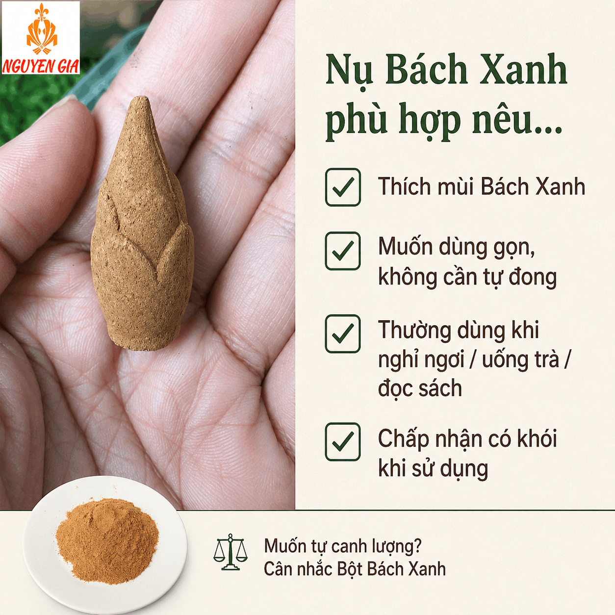 Nụ Bách Xanh 22 Nụ – Tiện Dùng, Không Cần Tự Đong Bột