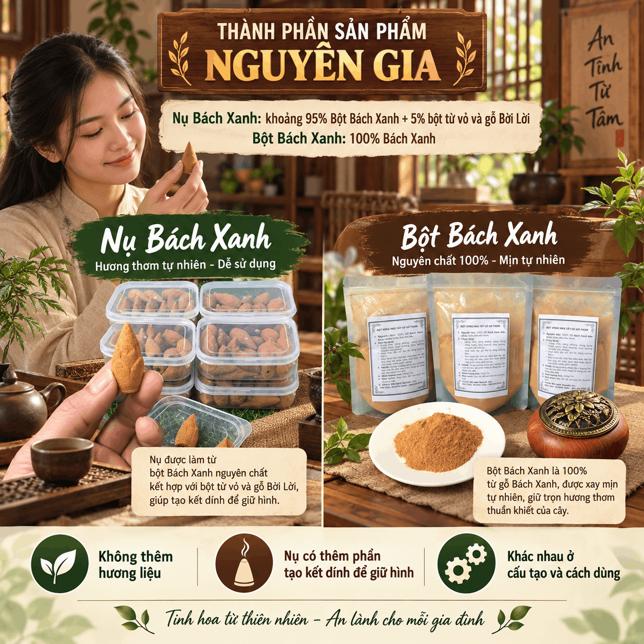 Nụ Bách Xanh Là Gì? Khác Bột Bách Xanh Thế Nào?