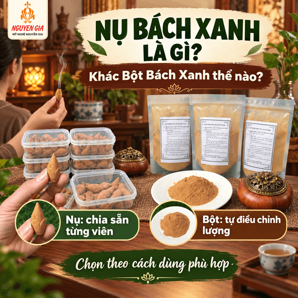 Nụ Bách Xanh Là Gì? Khác Bột Bách Xanh Thế Nào?