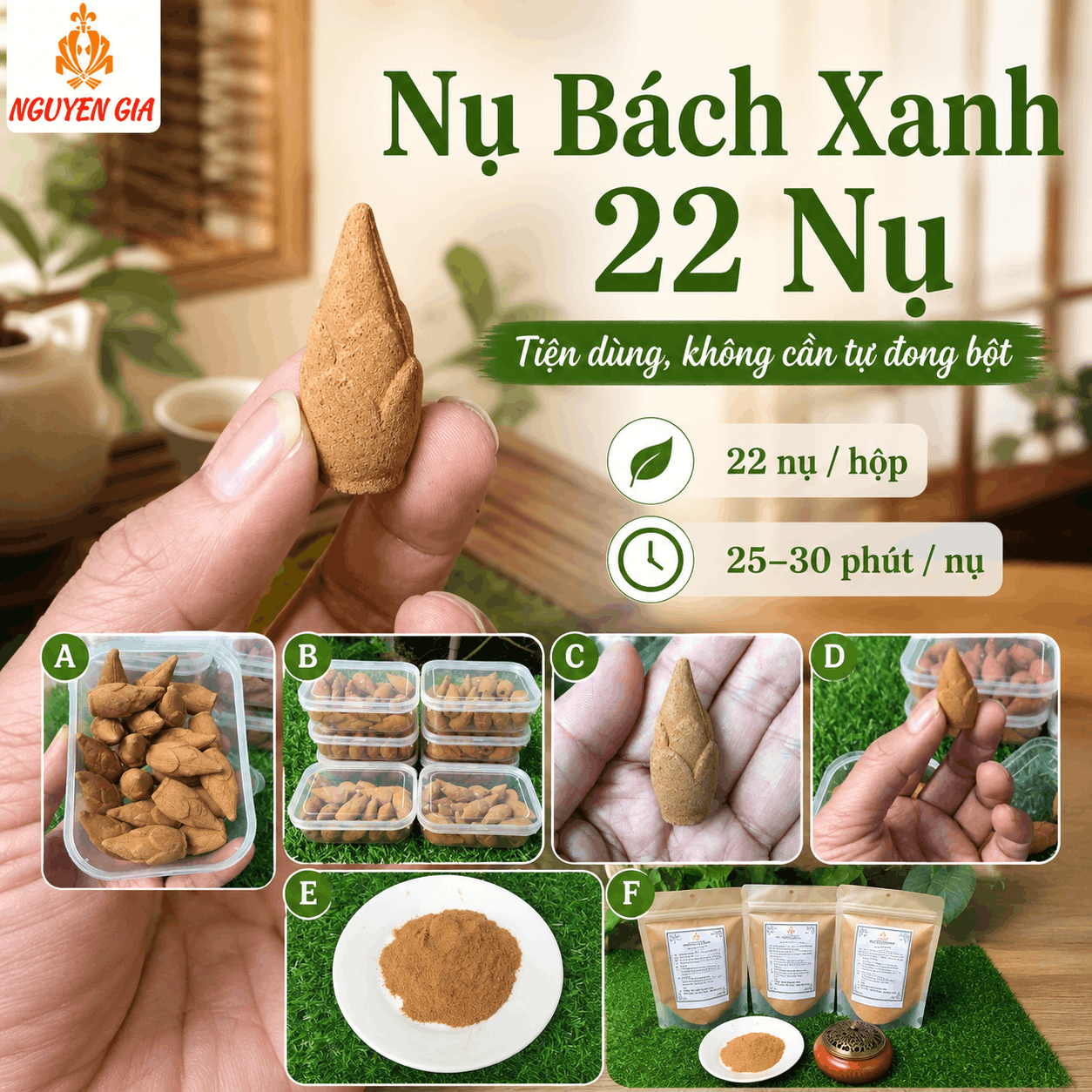 Nụ Bách Xanh 22 Nụ – Tiện Dùng, Không Cần Tự Đong Bột