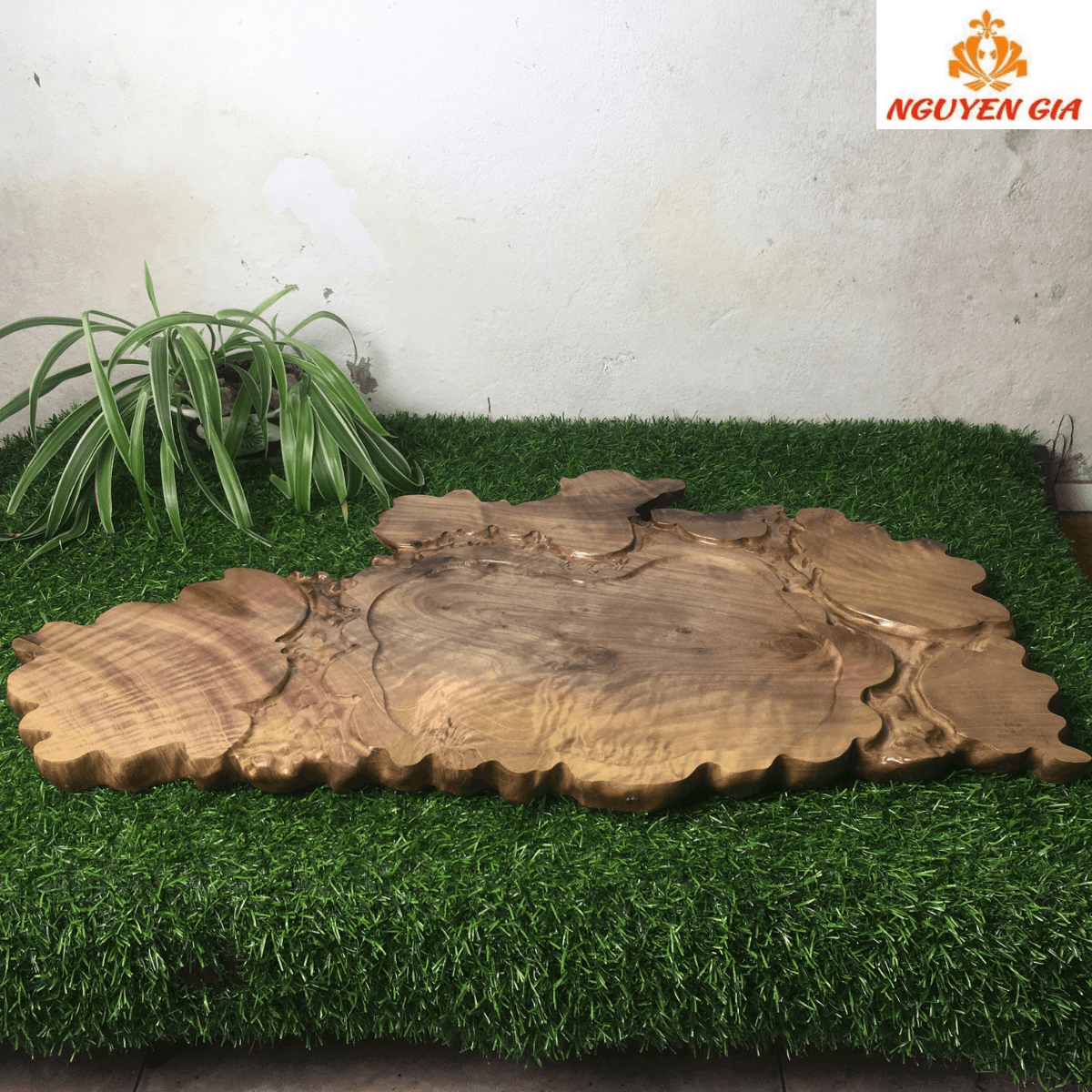 Khay Trà Gỗ Dổi Nguyên Khối 63x34cm – Không Cần Nói Nhiều, Nhìn Là Hiểu