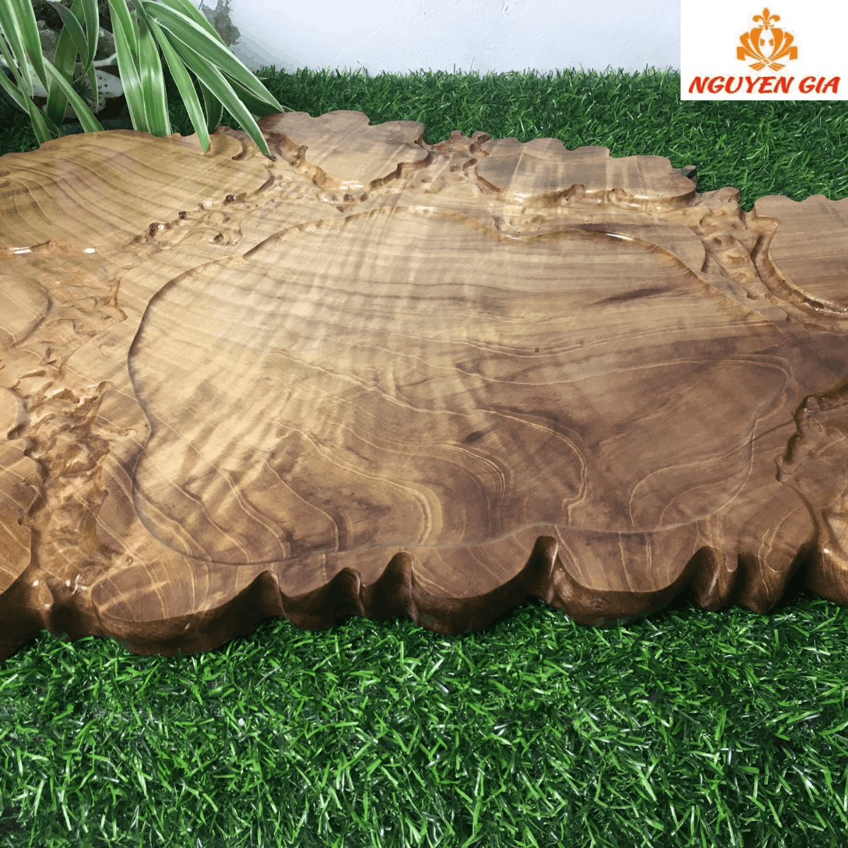 Khay Trà Gỗ Dổi Nguyên Khối 56x41cm – Bản Rộng, Vân Loang Nhẹ, Phù hợp mọi không gian