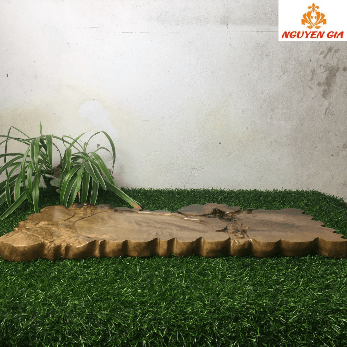 Khay Trà Gỗ Dổi Nguyên Khối Tự Nhiên – Độc Bản, Dùng Lâu Không Chán