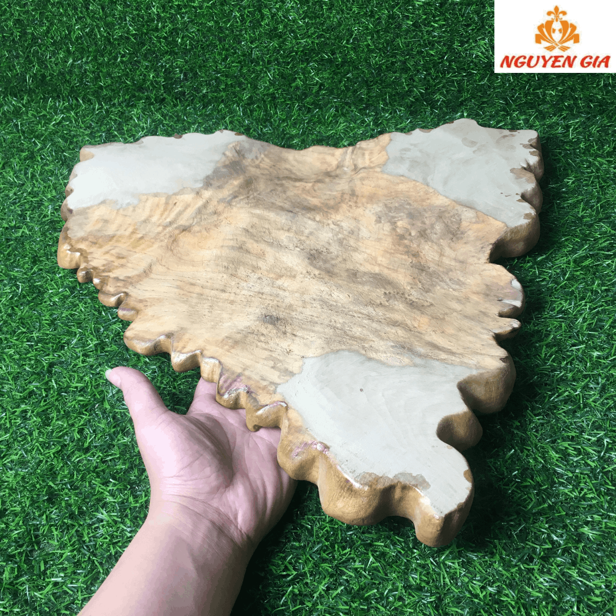 Khay Trà Gỗ Dổi Nguyên Khối Dáng Tự Nhiên – Vân Gỗ Đẹp, Độc Bản, Bền Bỉ Theo Thời Gian