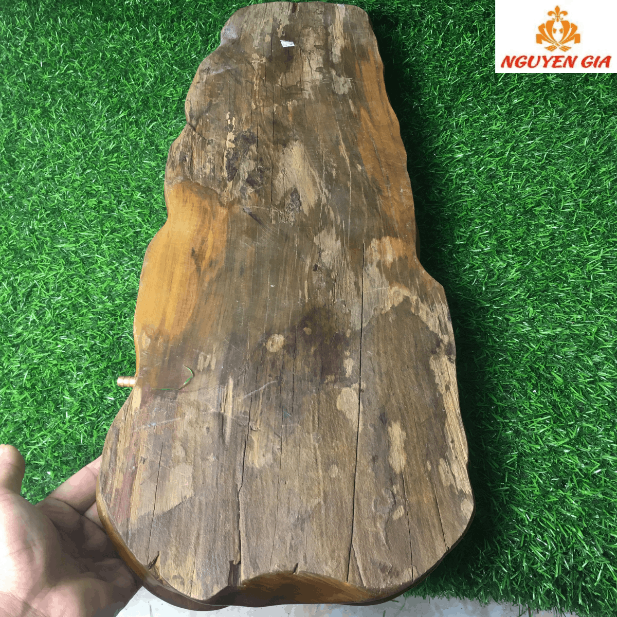 Khay trà gỗ Bách Xanh mẫu Lá Sen KT62x24 (không bao gồm ấm chén và phụ kiện)