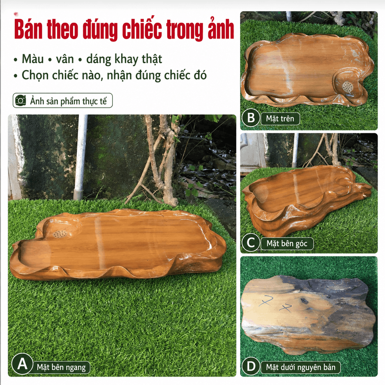 Khay trà gỗ Bách Xanh nguyên khối 49 × 28 × 7 cm