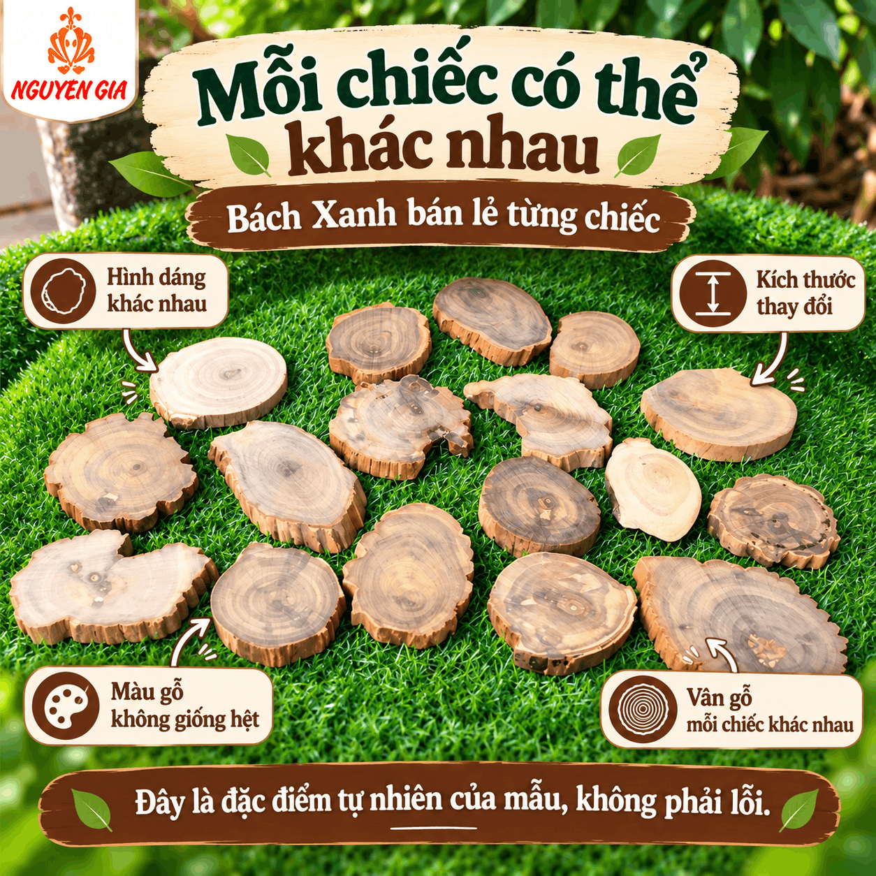 Lót ly gỗ Bách Xanh tự nhiên bán lẻ từng chiếc