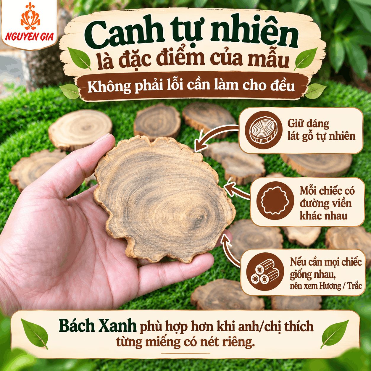 Lót ly gỗ Bách Xanh tự nhiên bán lẻ từng chiếc