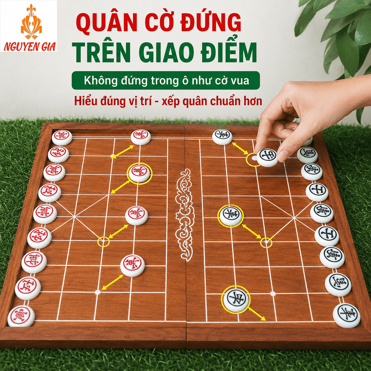 B&agrave;n Cờ Tướng C&oacute; Bao Nhi&ecirc;u &Ocirc;? Cấu Tạo 90 Giao Điểm