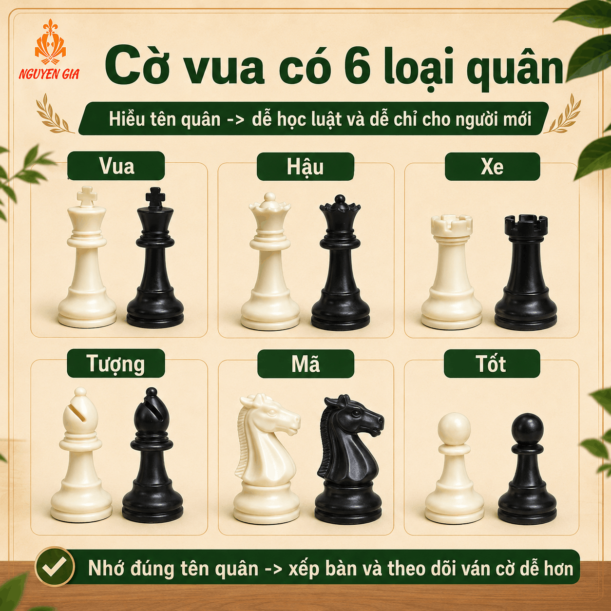 Bàn Cờ Vua Có Bao Nhiêu Ô, Bao Nhiêu Quân? Cách Xếp Chuẩn