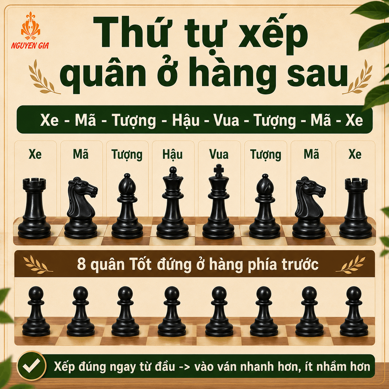 Bàn Cờ Vua Có Bao Nhiêu Ô, Bao Nhiêu Quân? Cách Xếp Chuẩn