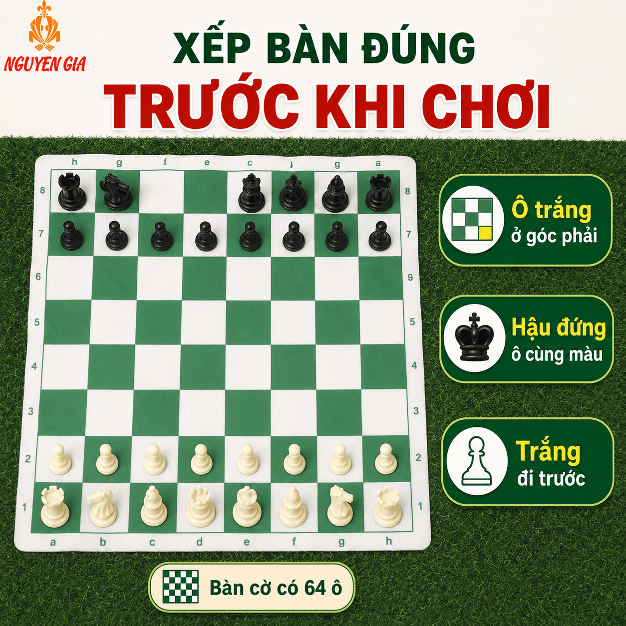C&aacute;ch Chơi Cờ Vua Cho Người Mới: C&aacute;ch Đi Qu&acirc;n V&agrave; Luật Cơ Bản