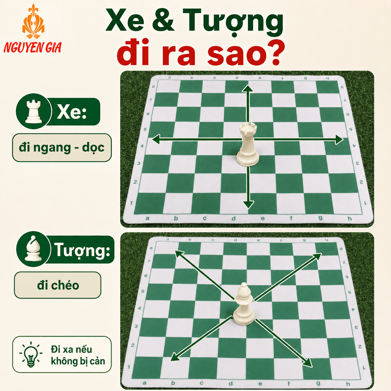 C&aacute;ch Chơi Cờ Vua Cho Người Mới: C&aacute;ch Đi Qu&acirc;n V&agrave; Luật Cơ Bản