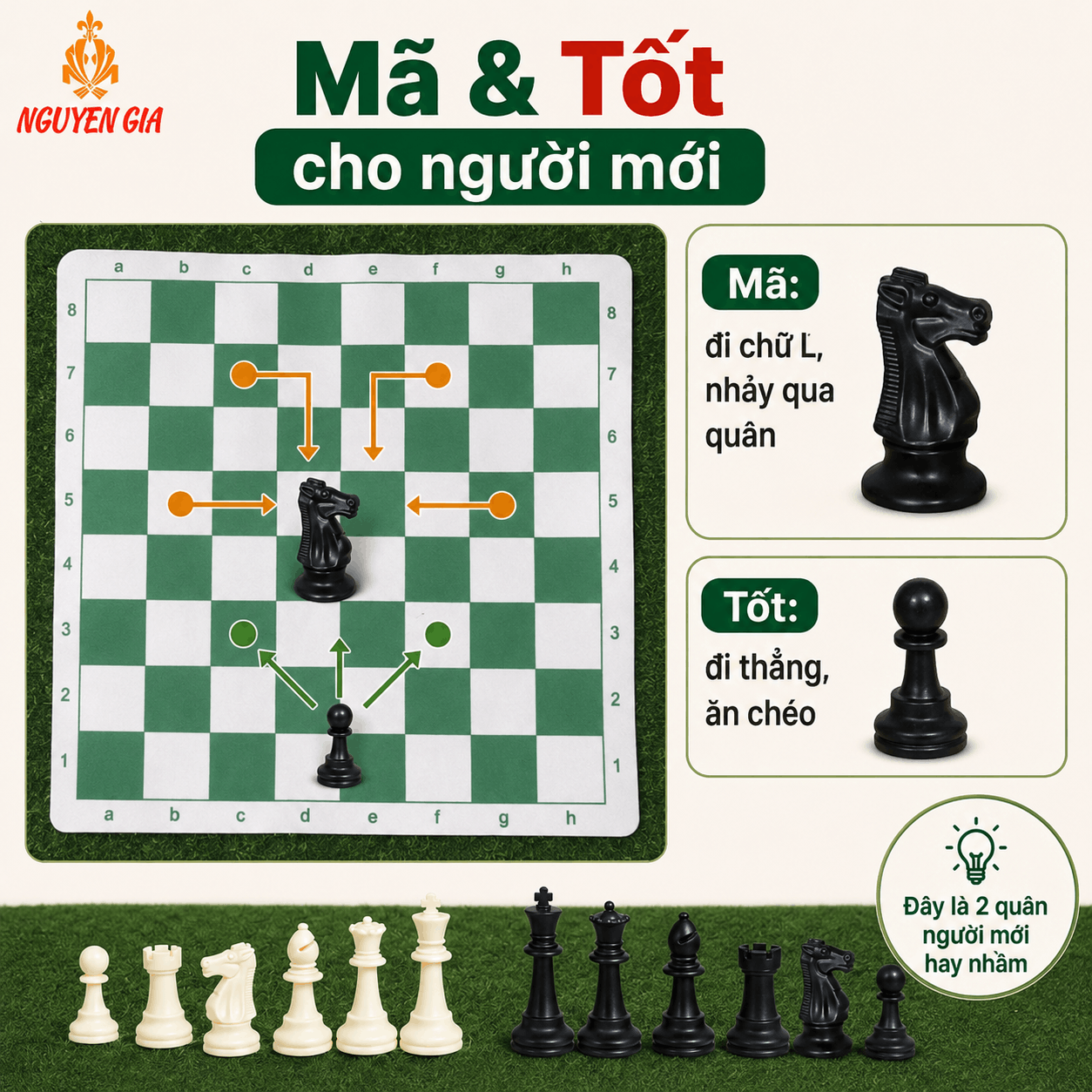 C&aacute;ch Chơi Cờ Vua Cho Người Mới: C&aacute;ch Đi Qu&acirc;n V&agrave; Luật Cơ Bản