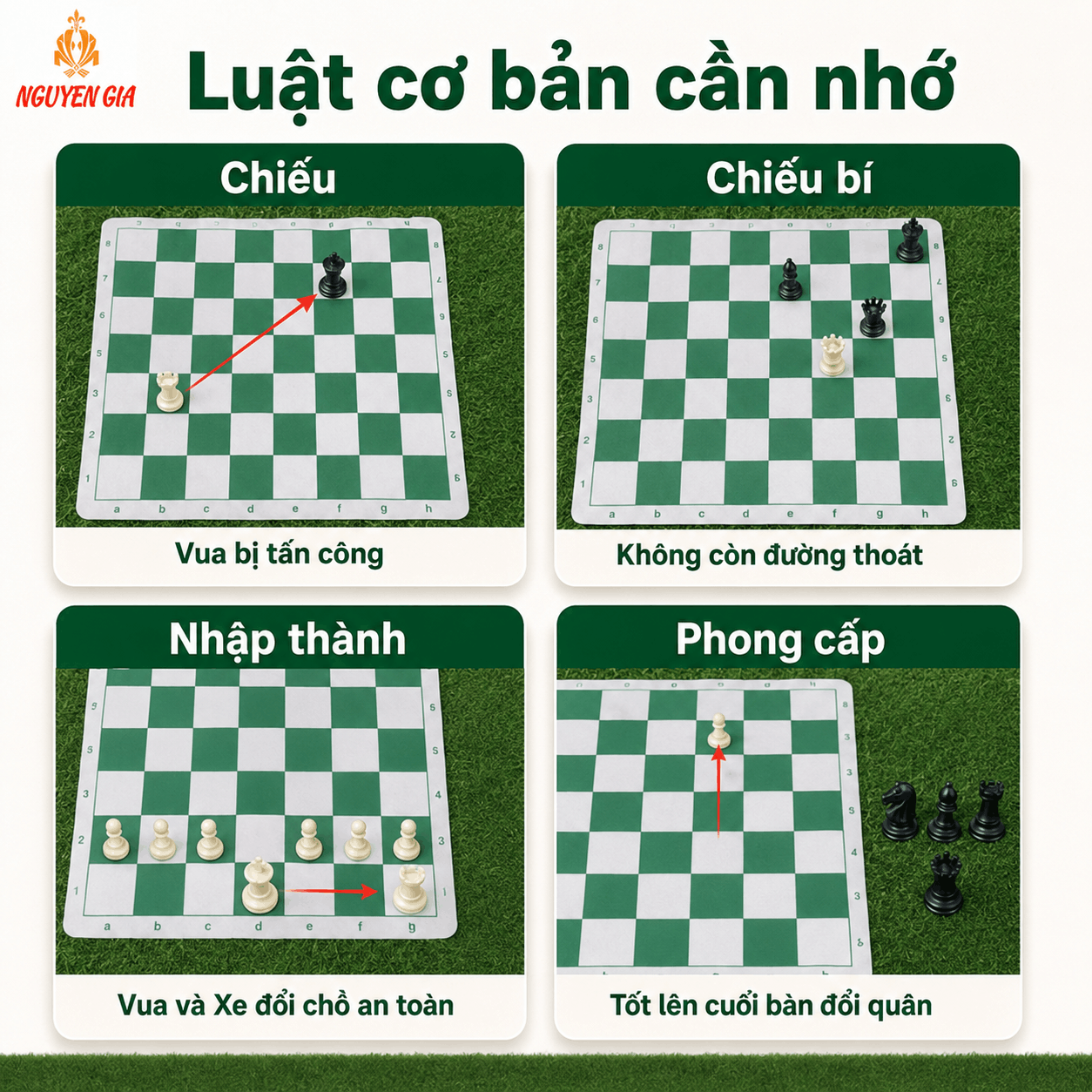 C&aacute;ch Chơi Cờ Vua Cho Người Mới: C&aacute;ch Đi Qu&acirc;n V&agrave; Luật Cơ Bản