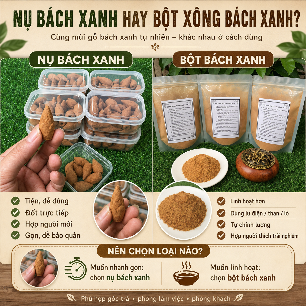 Nụ b&aacute;ch xanh l&agrave; g&igrave;? Kh&aacute;c g&igrave; bột x&ocirc;ng b&aacute;ch xanh?