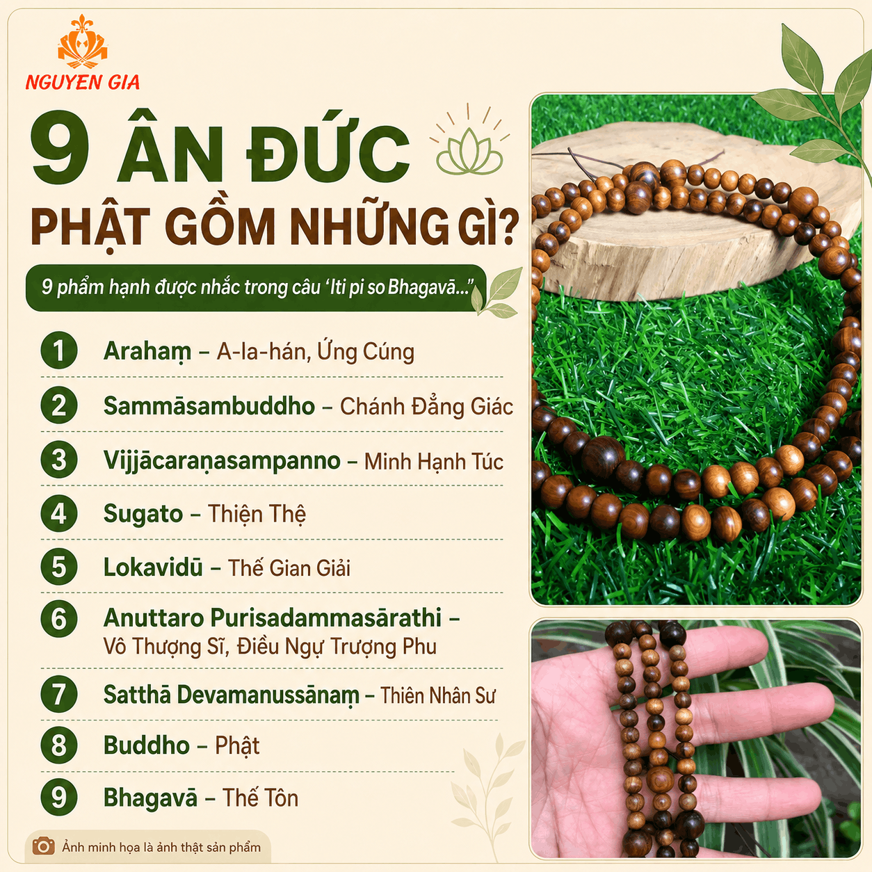 9 &Acirc;n Đức Phật L&agrave; G&igrave;? &Yacute; Nghĩa, B&agrave;i Niệm V&agrave; C&aacute;ch Thực H&agrave;nh