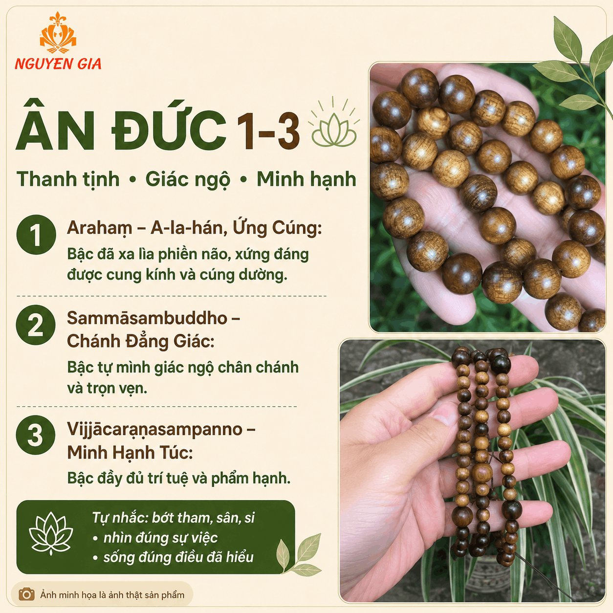 9 &Acirc;n Đức Phật L&agrave; G&igrave;? &Yacute; Nghĩa, B&agrave;i Niệm V&agrave; C&aacute;ch Thực H&agrave;nh
