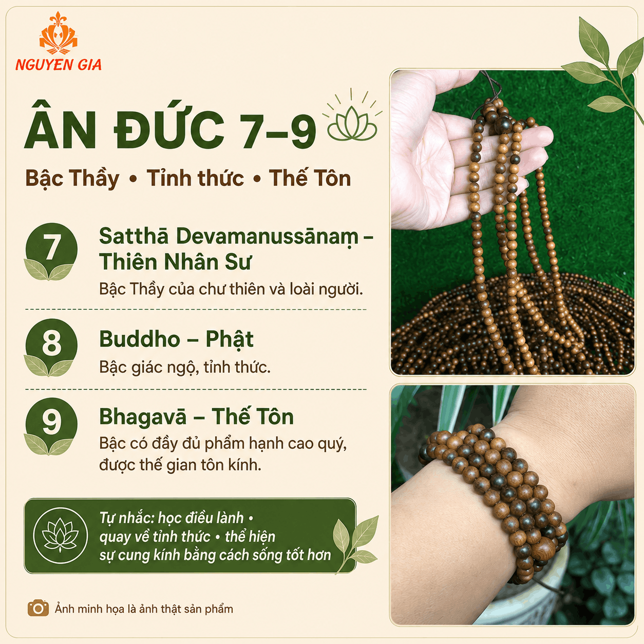 9 &Acirc;n Đức Phật L&agrave; G&igrave;? &Yacute; Nghĩa, B&agrave;i Niệm V&agrave; C&aacute;ch Thực H&agrave;nh