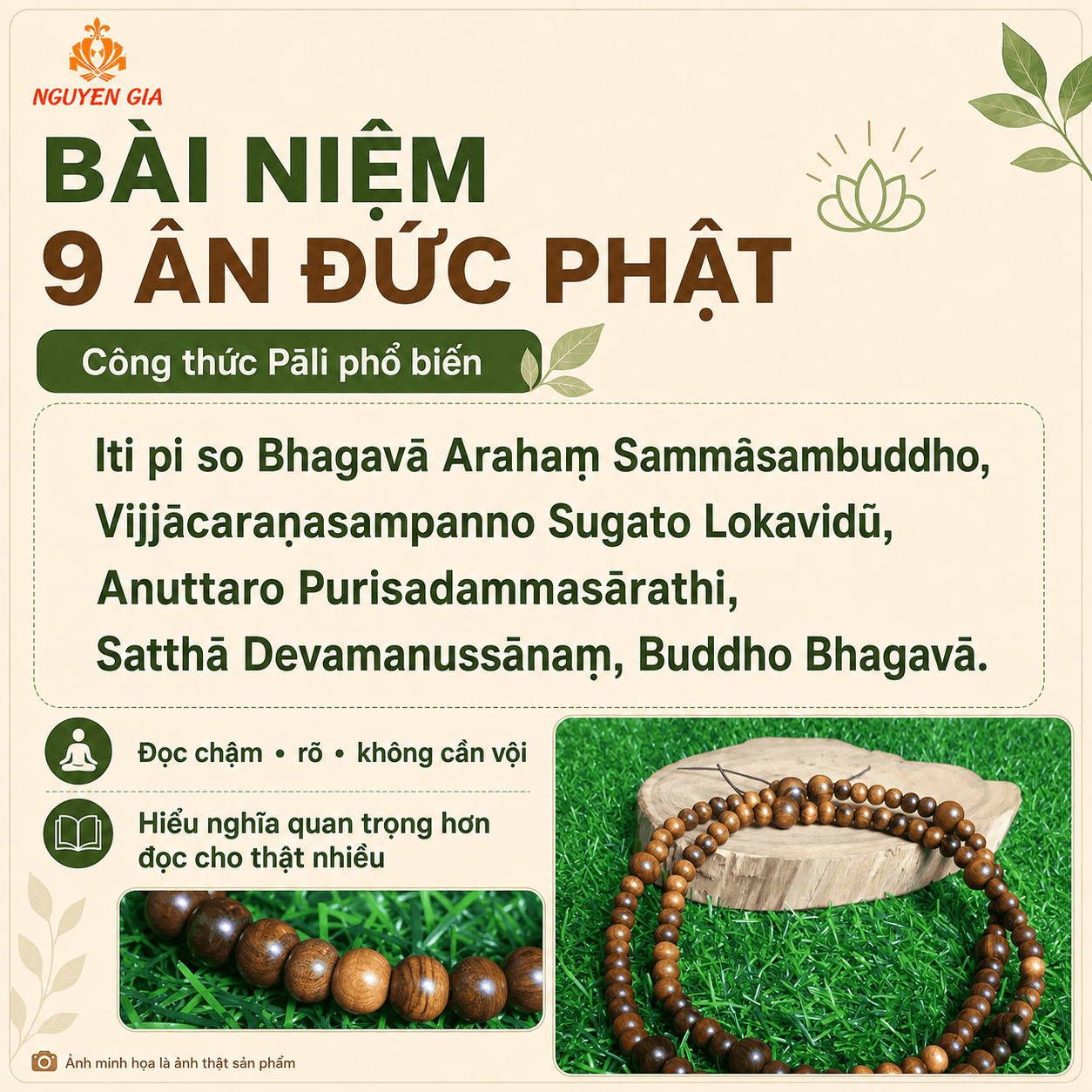 9 &Acirc;n Đức Phật L&agrave; G&igrave;? &Yacute; Nghĩa, B&agrave;i Niệm V&agrave; C&aacute;ch Thực H&agrave;nh