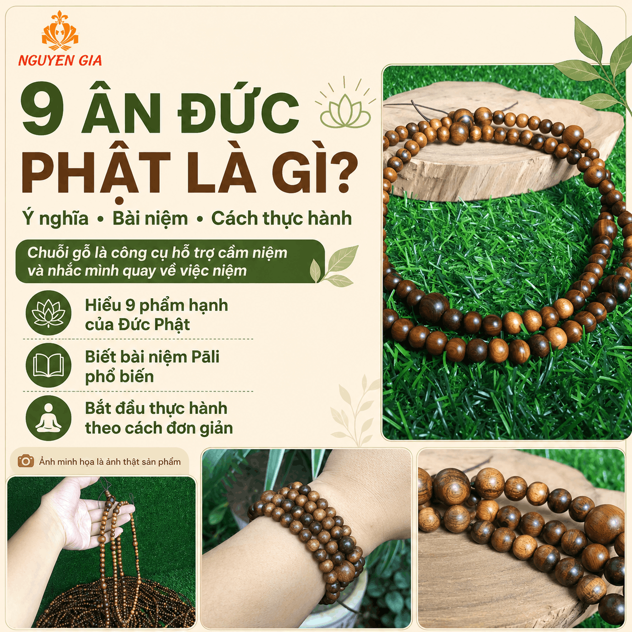 9 &Acirc;n Đức Phật L&agrave; G&igrave;? &Yacute; Nghĩa, B&agrave;i Niệm V&agrave; C&aacute;ch Thực H&agrave;nh