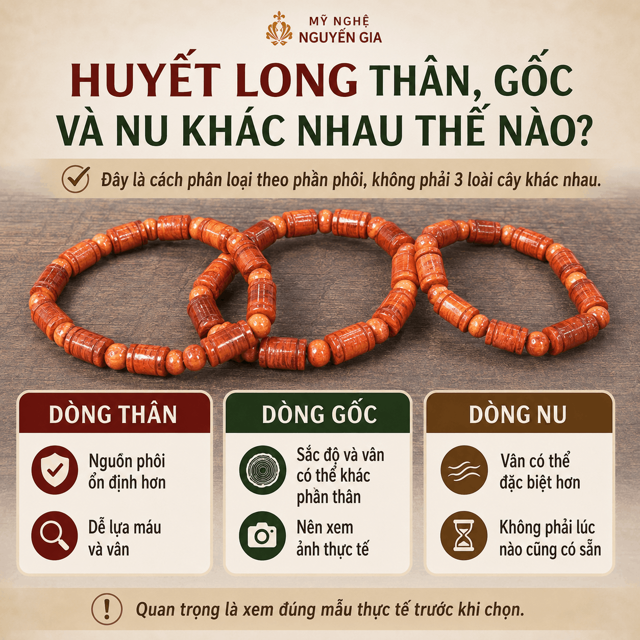 Cây Huyết Rồng Là Cây Gì? Phân Biệt Với Gỗ Huyết Long Đông Nam Á