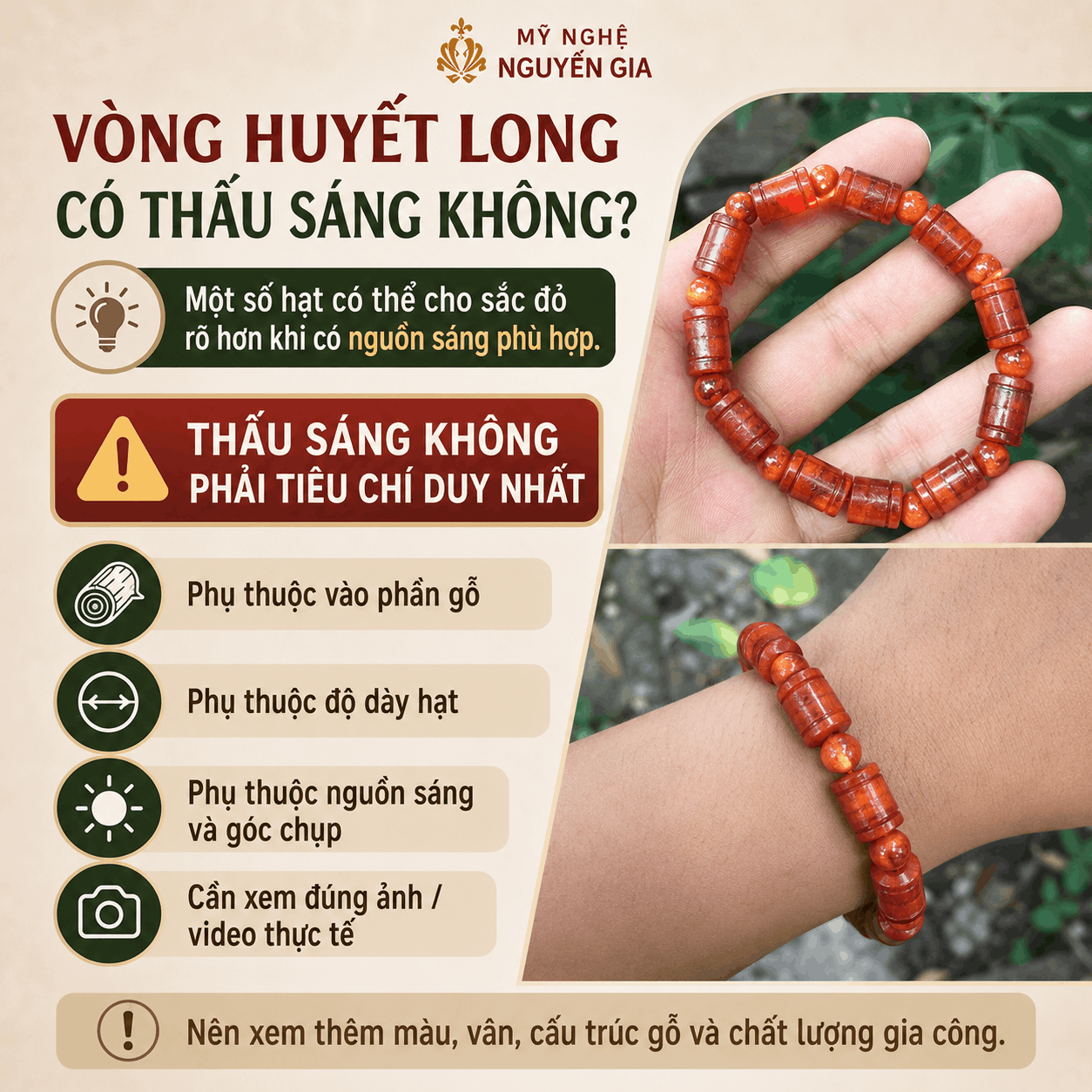 Cây Huyết Rồng Là Cây Gì? Phân Biệt Với Gỗ Huyết Long Đông Nam Á