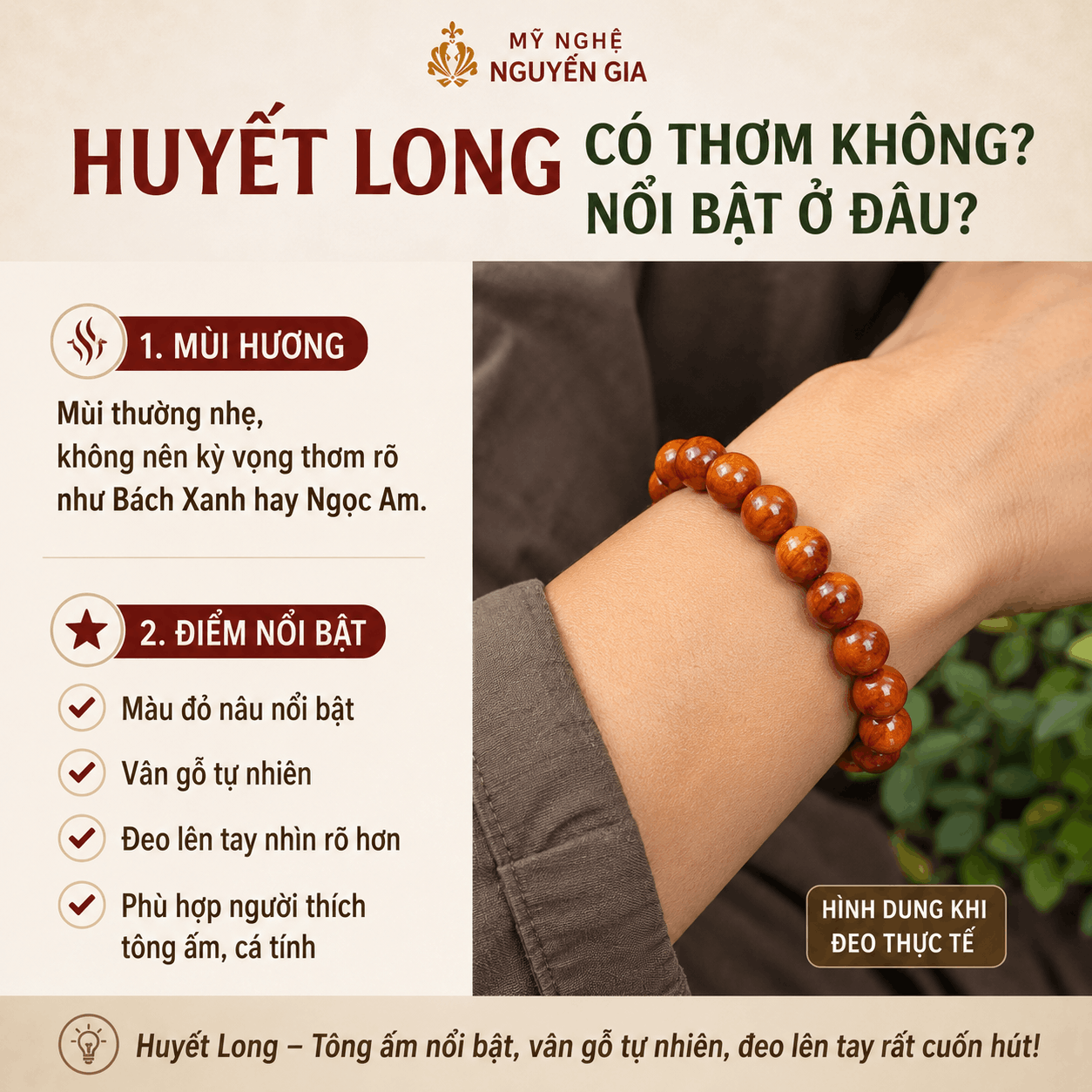 Cây Huyết Rồng Là Cây Gì? Phân Biệt Với Gỗ Huyết Long Đông Nam Á