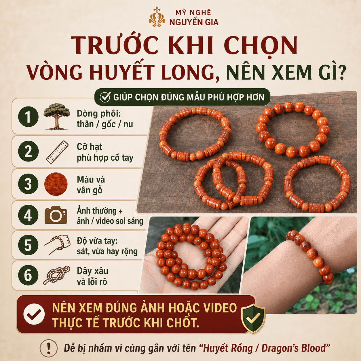 Cây Huyết Rồng Là Cây Gì? Phân Biệt Với Gỗ Huyết Long Đông Nam Á