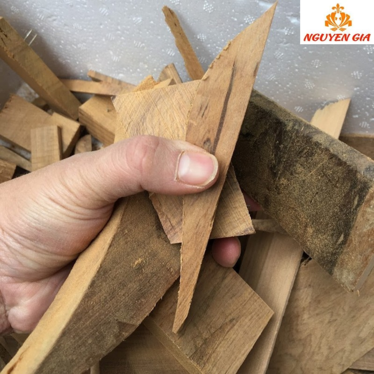 Vụn gỗ bách xanh dùng để làm gì? Có nên mua để xông phòng không?