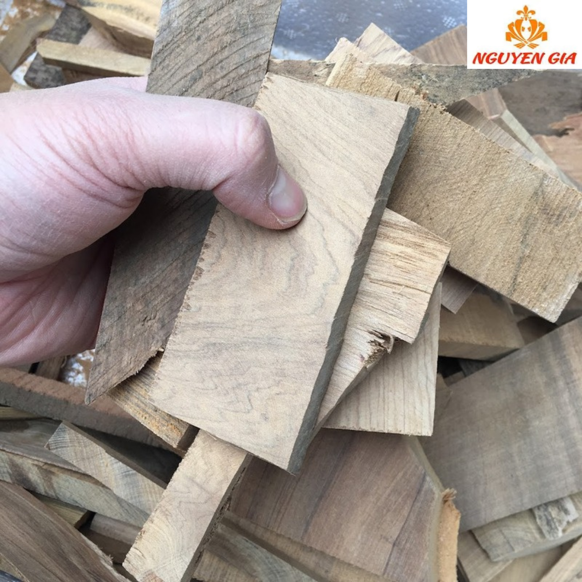 Vụn gỗ bách xanh dùng để làm gì? Có nên mua để xông phòng không?