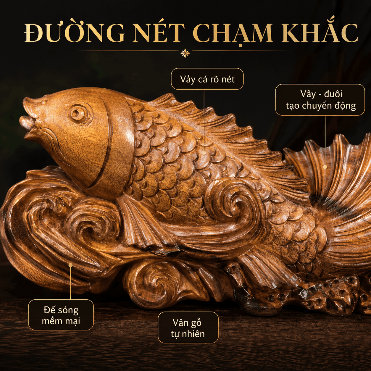 Cá chép vượt Vũ Môn là gì? Vì sao cá chép hóa Rồng?