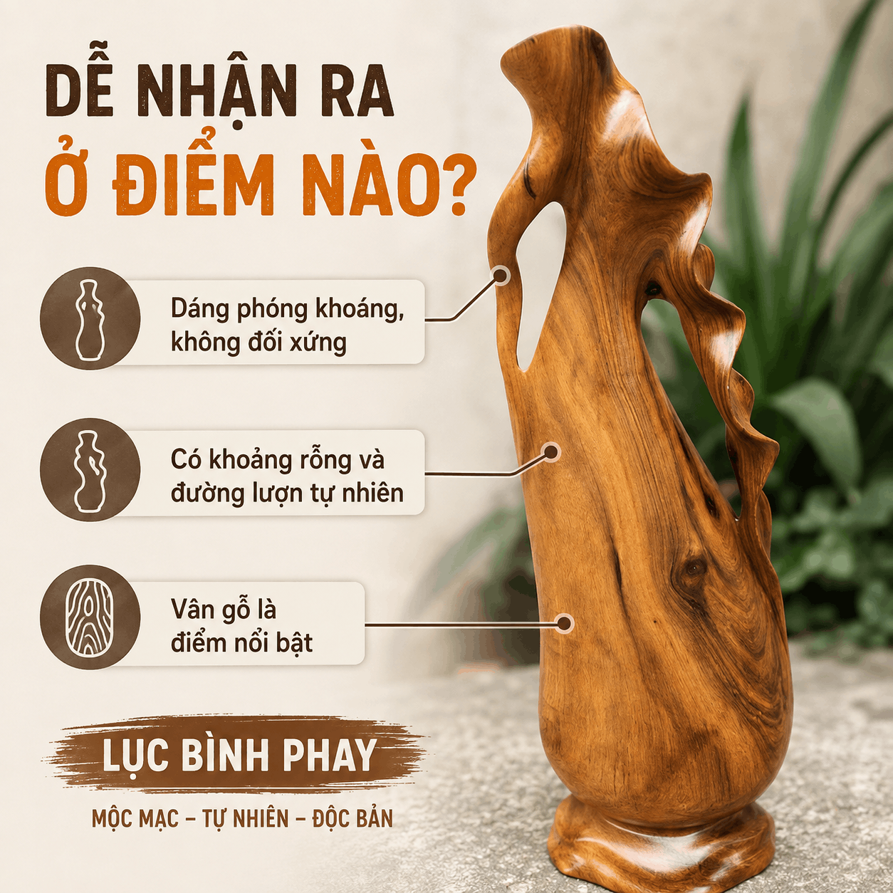 Lục Bình Phay Là Gì? Khác Gì Lục Bình Dáng Truyền Thống?