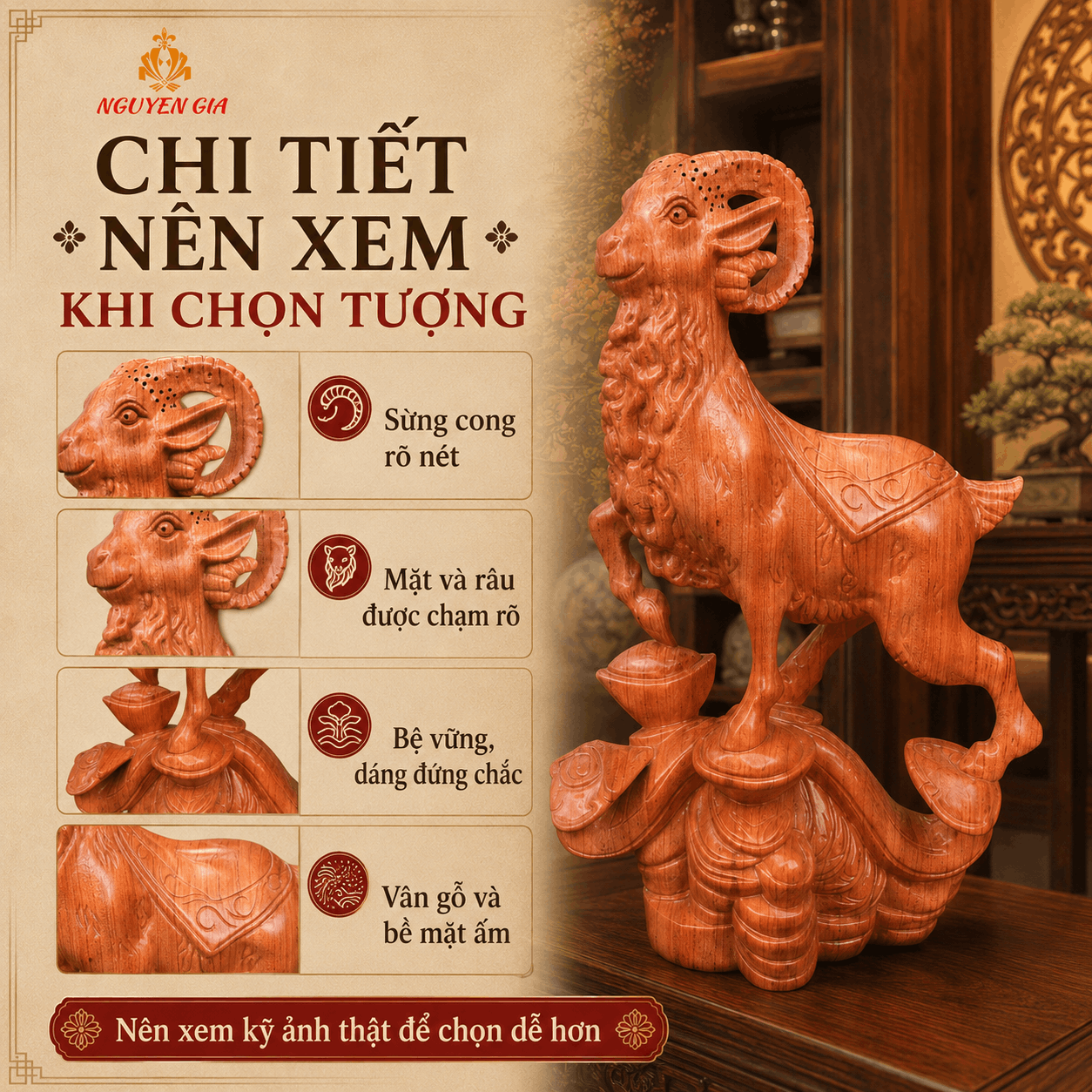 Tam Dương Khai Thái là gì?